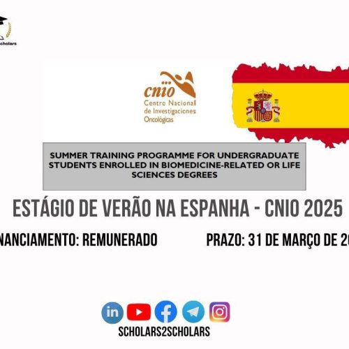 PROGRAMA DE TREINAMENTO DE VERÃO