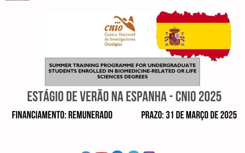 PROGRAMA DE TREINAMENTO DE VERÃO